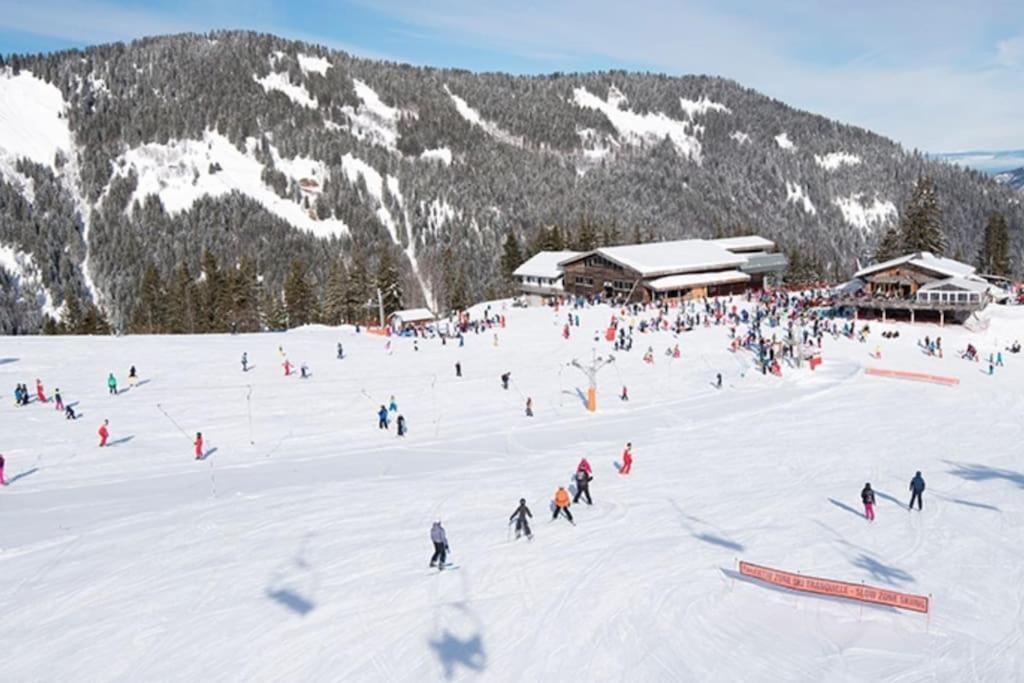 Dans Residence Neuve Le Snow Roc Sur Les Pistes, Grand Studio Cosy 5 Pers Avec Terrasse Panoramique, Sauna, Wifi Saint-Jean-dʼAulps Eksteriør billede