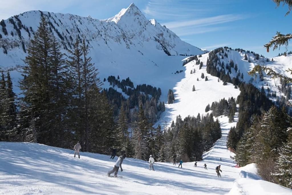 Dans Residence Neuve Le Snow Roc Sur Les Pistes, Grand Studio Cosy 5 Pers Avec Terrasse Panoramique, Sauna, Wifi Saint-Jean-dʼAulps Eksteriør billede